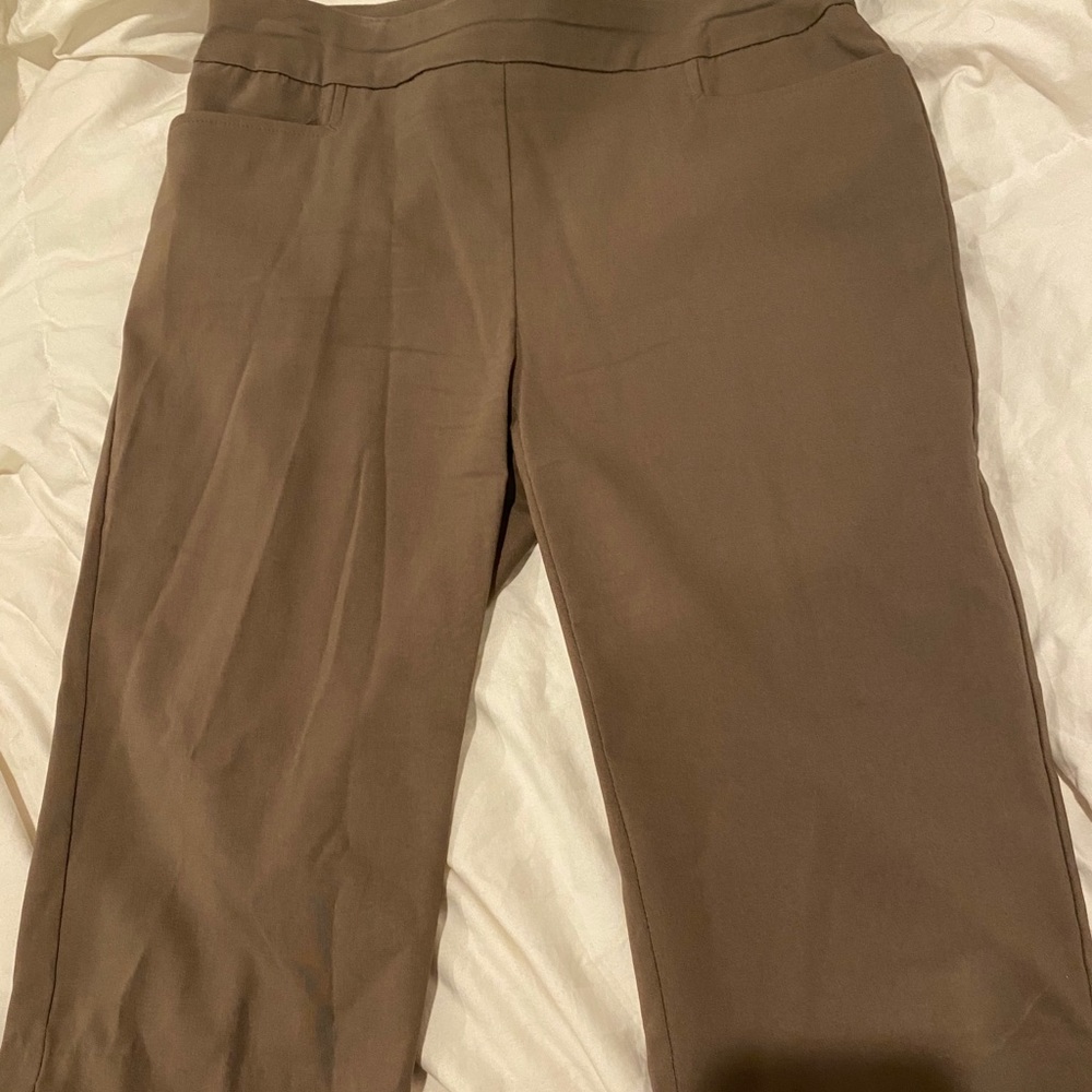 Chico’s Capri pants